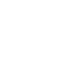 alemanhanabagagem icon